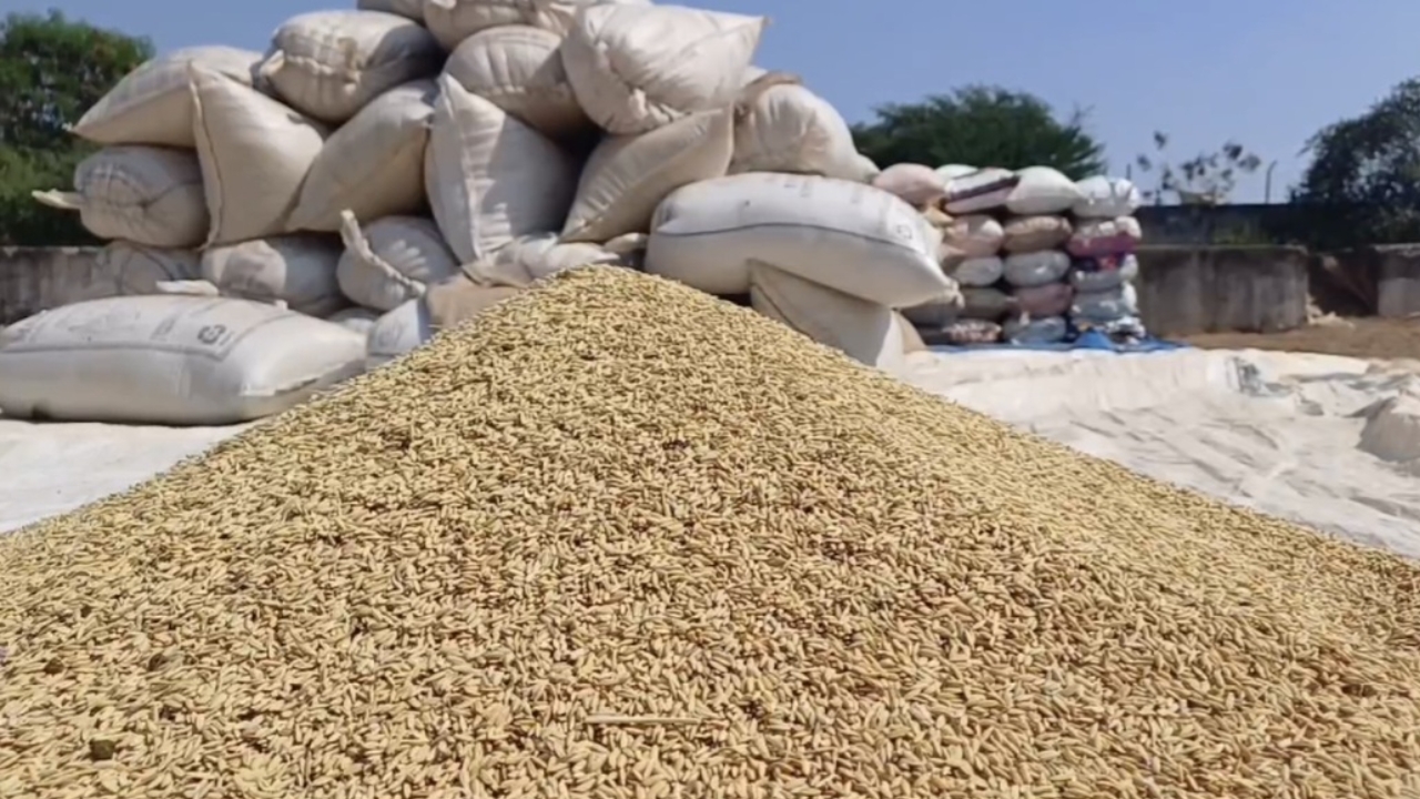 Case of paddy purchase